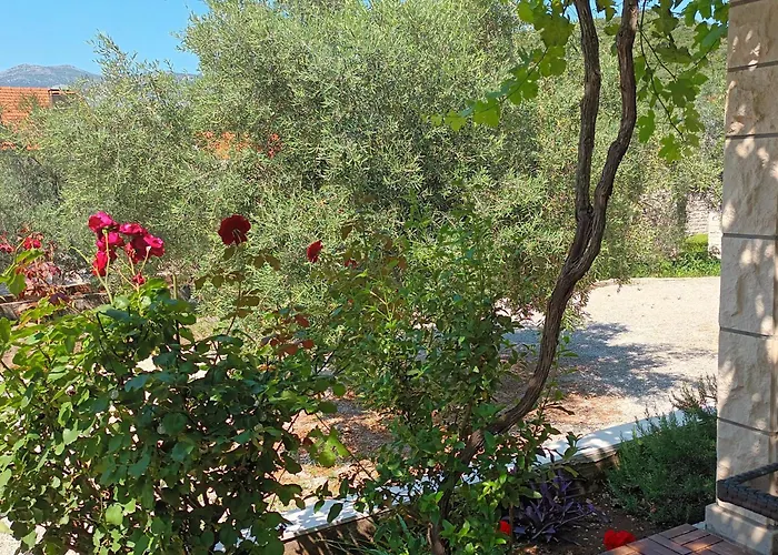 דירה Vrbovica קורצולה